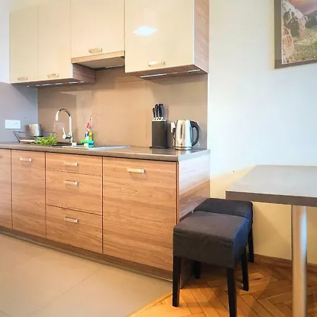 Schwarz Tiger 16 Rynek Apartamento *