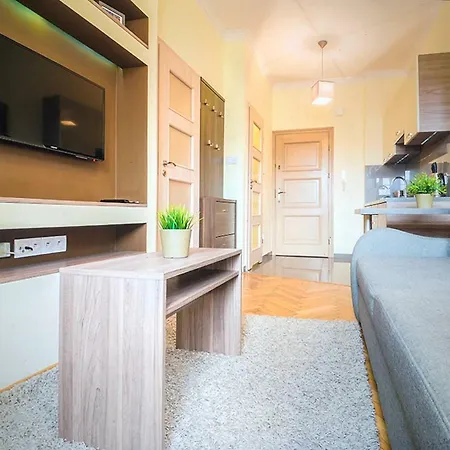 Schwarz Tiger 16 Rynek Apartamento *