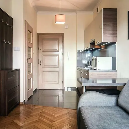 Schwarz Tiger 16 Rynek Apartamento *
