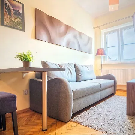 Schwarz Tiger 16 Rynek Apartamento *